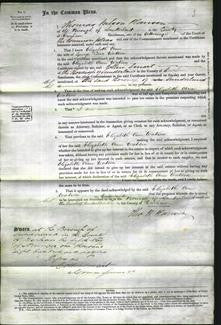 Court of Common Pleas - Elizabeth Ann Watson-Original Ancestry