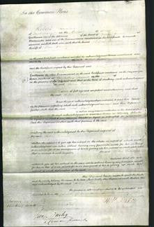 Court of Common Pleas - Helen Frances Bonny-Original Ancestry