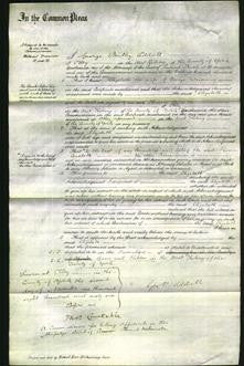Court of Common Pleas - Elizabeth Demaine 32-Original Ancestry