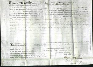 Deed by Married Women - Mary Johnson and Susanna Broadbridge-Original Ancestry