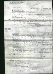 Court of Common Pleas - Mary Shaw-Original Ancestry