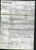 Court of Common Pleas - Sarah Watts-Original Ancestry