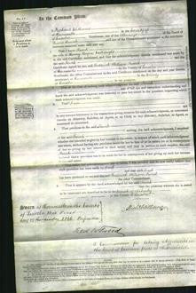 Court of Common Pleas - Sarah Cartwright-Original Ancestry