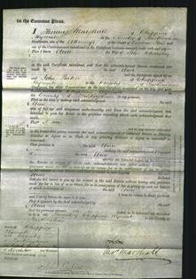 Court of Common Pleas - Ann Charsley-Original Ancestry