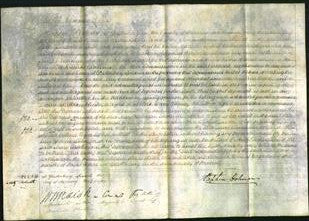 Court of Common Pleas - Mary Welchman-Original Ancestry