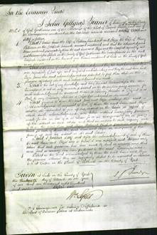 Court of Common Pleas - Jane Chadwick and Eliza Wilkinson-Original Ancestry