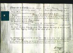 Deed by Married Women - Eliza Sutcliffe-Original Ancestry