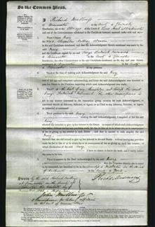 Court of Common Pleas - Mary Adamson-Original Ancestry
