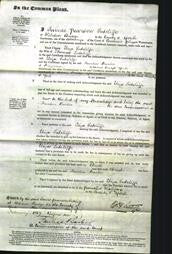 Court of Common Pleas - Eliza Sutcliffe-Original Ancestry