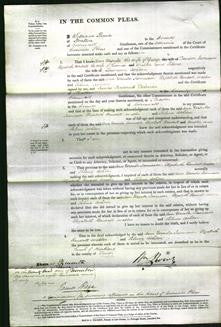 Court of Common Pleas - Ann Ursula Jamieson, Elizabeth Rendall Walter and Selina Ashton-Original Ancestry