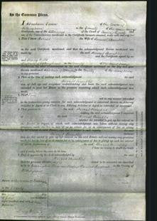 Court of Common Pleas - Harriet Stumbles-Original Ancestry