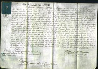 Court of Common Pleas - Catherine Nelson-Original Ancestry