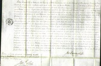 Court of Common Pleas - Phillis Taylor-Original Ancestry