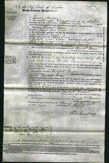 Court of Common Pleas - Elizabeth Mason-Original Ancestry