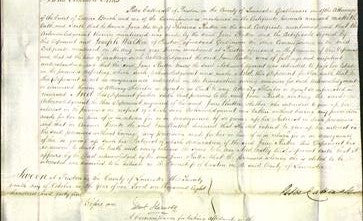 Court of Common Pleas - Jane Rutter-Original Ancestry