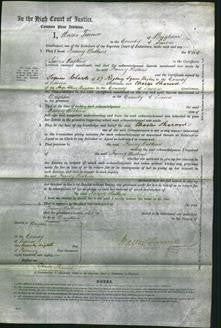Court of Common Pleas - Fanny Watkins #3-Original Ancestry