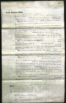 Court of Common Pleas - Eliza Bennett Airey-Original Ancestry