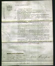 Court of Common Pleas - Elizabeth Ann Forbes-Original Ancestry