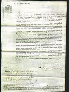 Court of Common Pleas - Lucy Plato-Original Ancestry
