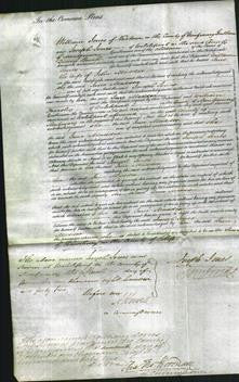 Court of Common Pleas - Jane Maddox-Original Ancestry