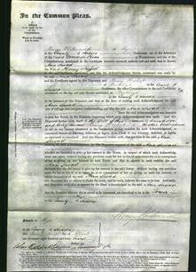 Court of Common Pleas - Ann Snoad Staffell-Original Ancestry