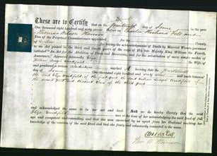 Deed by Married Women - Eliza Woodifield-Original Ancestry