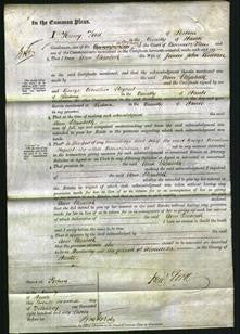 Court of Common Pleas - Ann Elizabeth Couldin-Original Ancestry