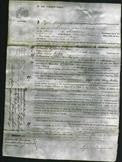 Court of Common Pleas - Margaret Budd-Original Ancestry