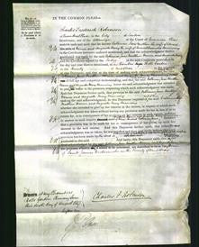 Court of Common Pleas - Catherine Jane Matthew Warner and Augusta Mary Manning-Original Ancestry