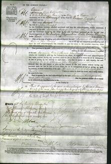 Court of Common Pleas - Susanna Knapp-Original Ancestry