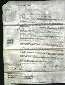 Court of Common Pleas - Mary Arnold-Original Ancestry