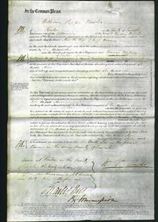 Court of Common Pleas - Ann Holland-Original Ancestry