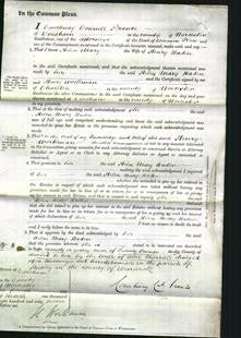 Court of Common Pleas - Helen Mary Haden-Original Ancestry