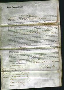 Court of Common Pleas - Maria Bleaney-Original Ancestry