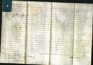 Court of Common Pleas - Margaret Bush-Original Ancestry