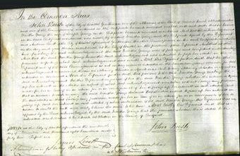 Court of Common Pleas - Martha Young-Original Ancestry