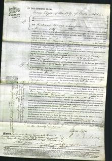 Court of Common Pleas - Druett Howard-Original Ancestry