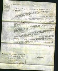 Court of Common Pleas - Frances Tebbutt-Original Ancestry