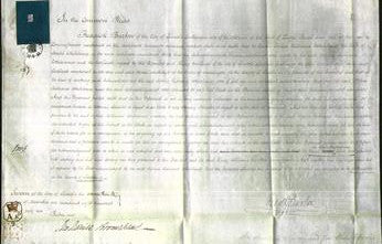 Court of Common Pleas - Sophia Katherine Whitehouse-Original Ancestry