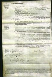 Court of Common Pleas - Emily Smith-Original Ancestry