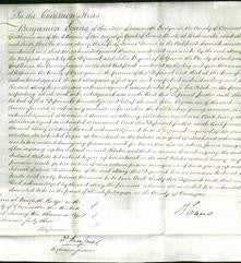 Court of Common Pleas - Mary Davies-Original Ancestry