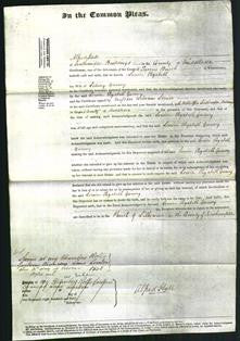 Court of Common Pleas - Louisa Elizabeth Gurney-Original Ancestry