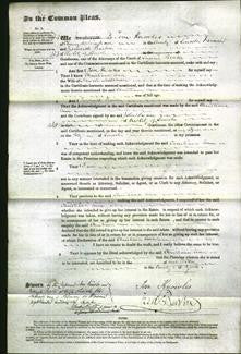 Court of Common Pleas - Christiana Ann Melbourn-Original Ancestry