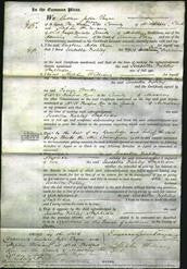 Court of Common Pleas - Isabella Fishley Stapledon-Original Ancestry