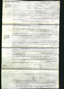 Court of Common Pleas - Anne Hewitt Taylor-Original Ancestry