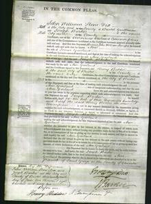 Court of Common Pleas - Ann Garland-Original Ancestry