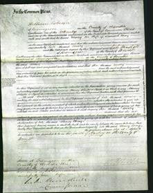 Court of Common Pleas - Mary Bray-Original Ancestry