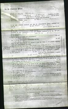 Court of Common Pleas - Amelia Jane Fentiman-Original Ancestry