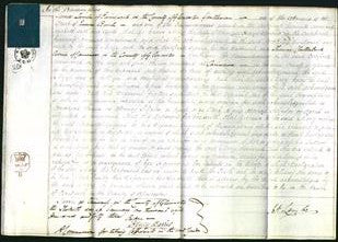 Court of Common Pleas - Mary Durden-Original Ancestry