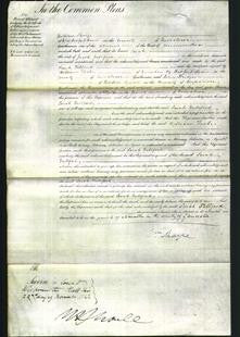 Court of Common Pleas - Sarah Fullford-Original Ancestry